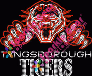 Tyngsborough Tigers Tiger