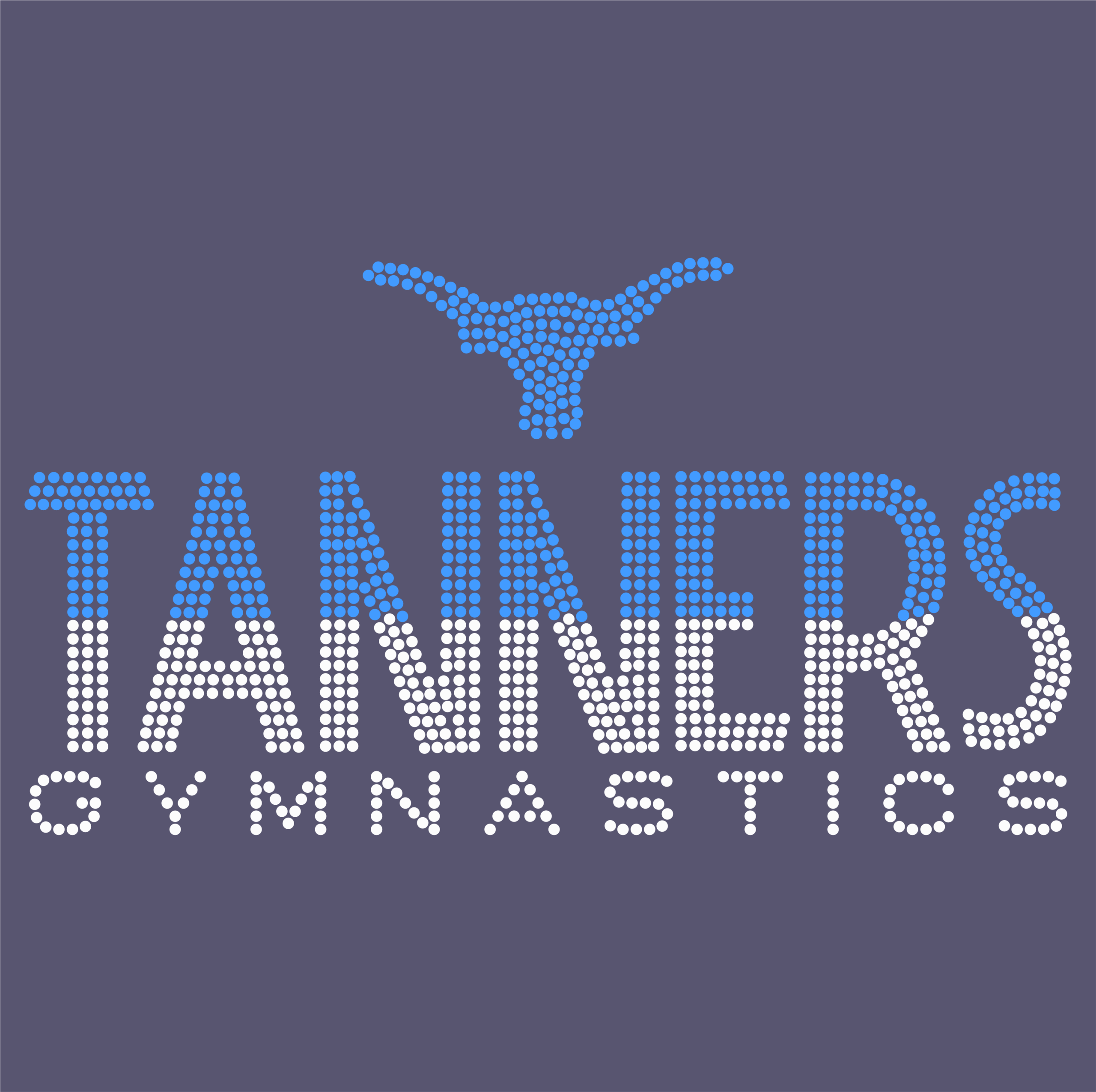 Tanners Gymnastics