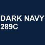 DARK NAVY 289C