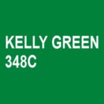 KELLY GREEN 348C