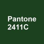 PANTONE 2411C