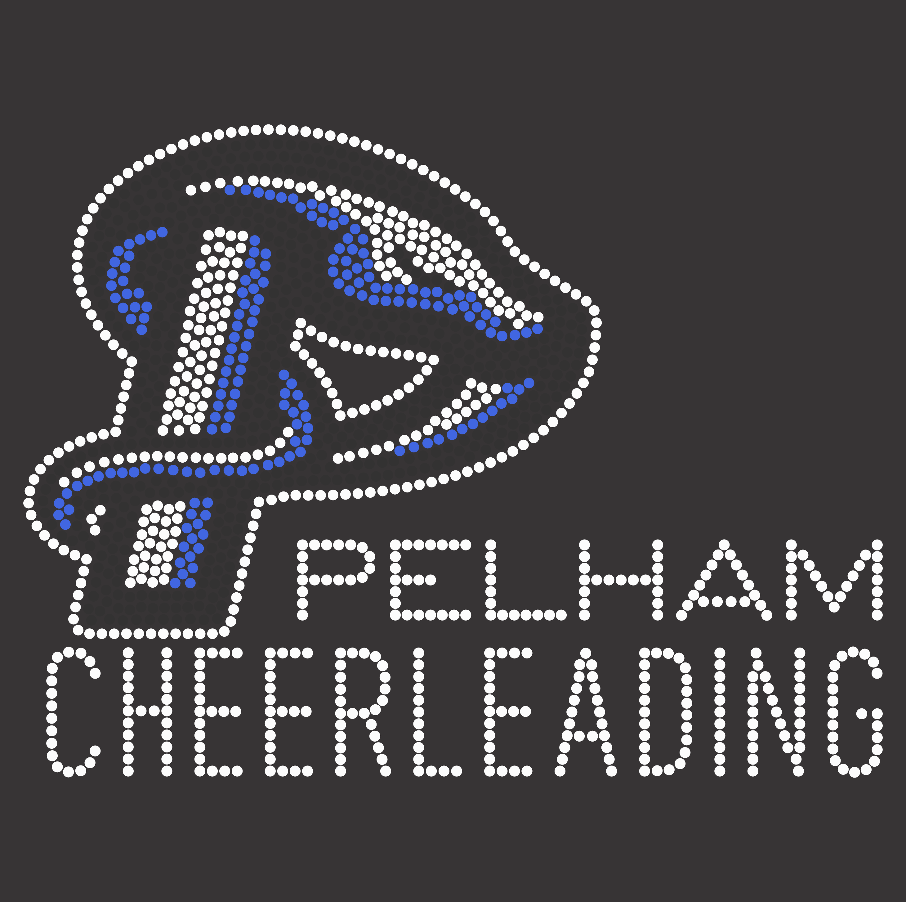 Pelham Pythons Cheerleading Logo - Sparkle Gear