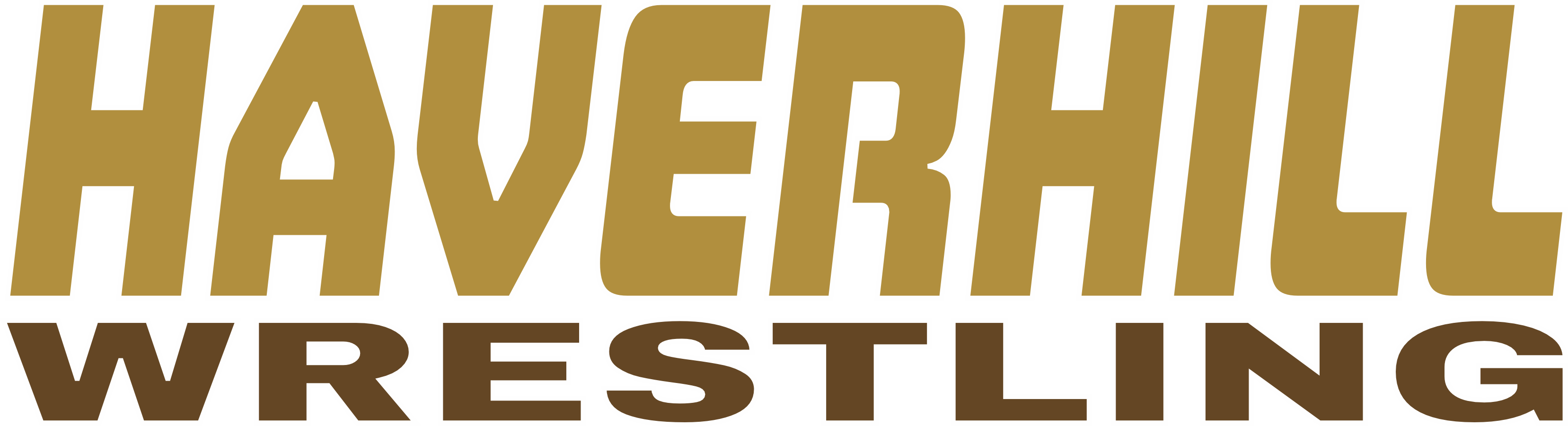 Haverhill Wrestling Print Sparkle Gear