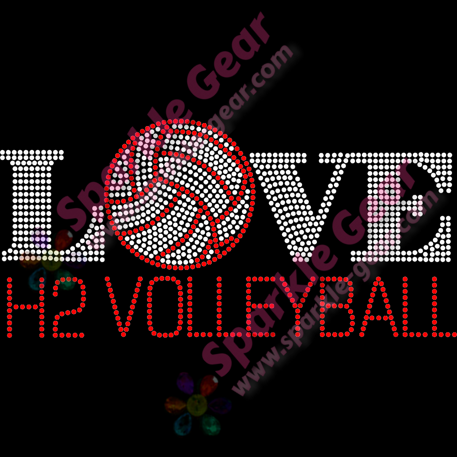 H2 Volleyball